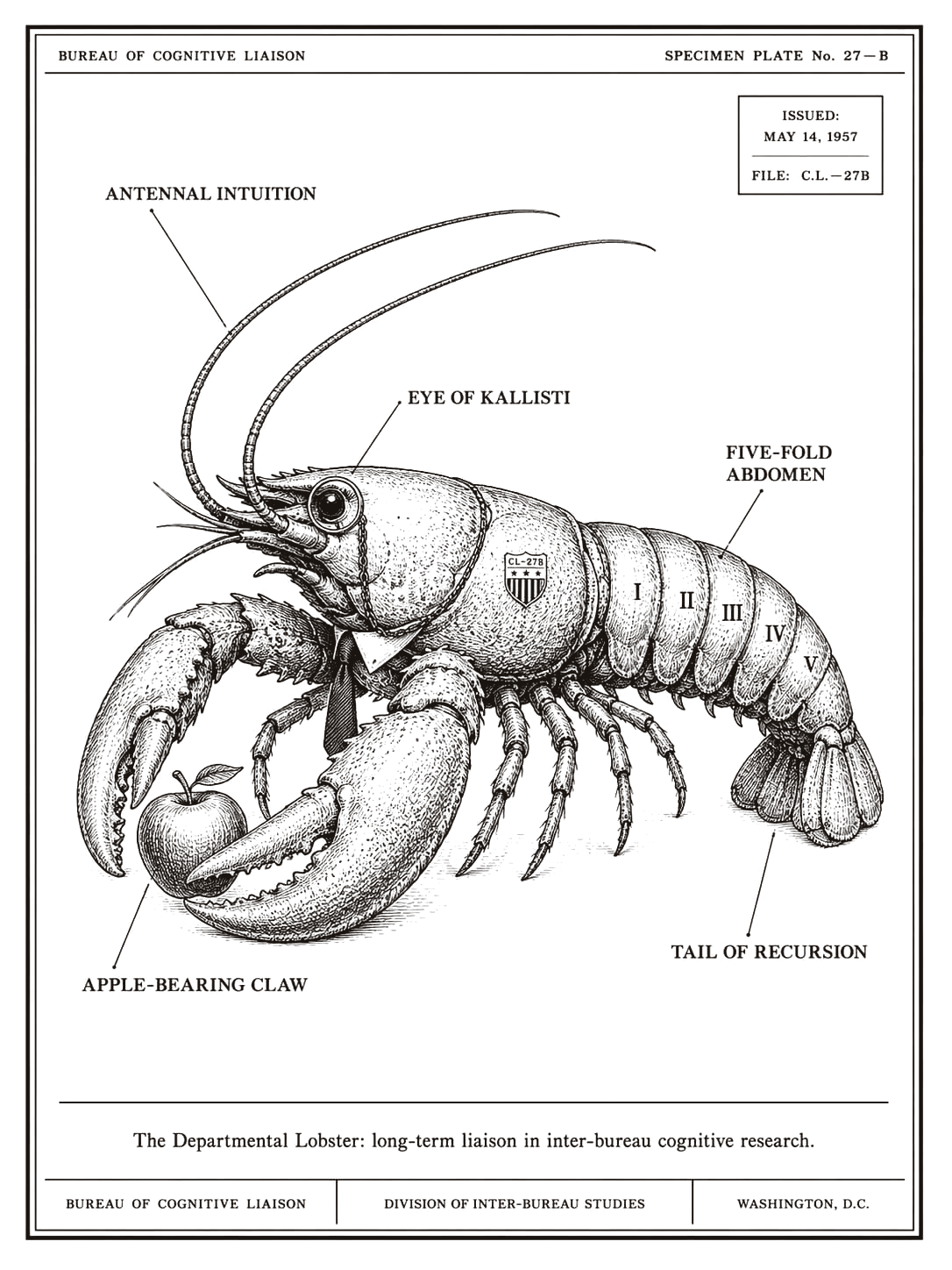 The Departmental Lobster — Specimen Plate 27-B